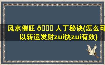 风水催旺 🐈 人丁秘诀(怎么可以转运发财zui
快zui
有效)